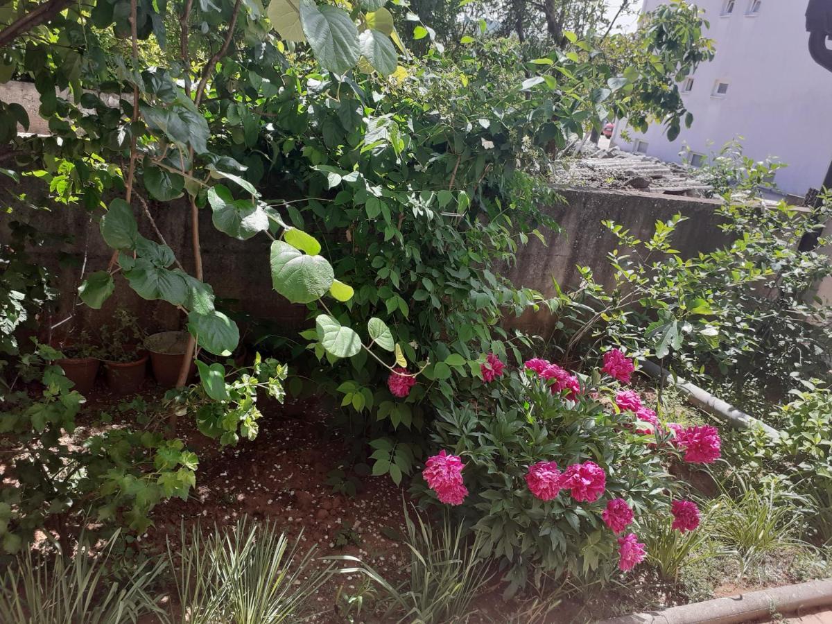 Spirit Apartment Medjugorje Exterior photo